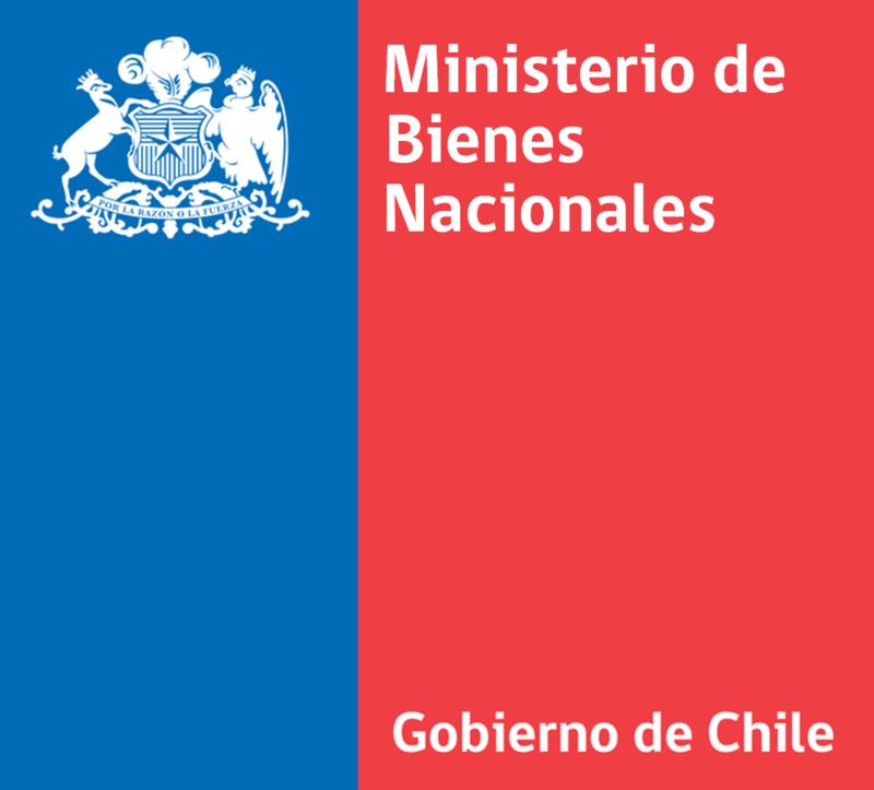 Consulta Estado de Trámite bienes Nacionales